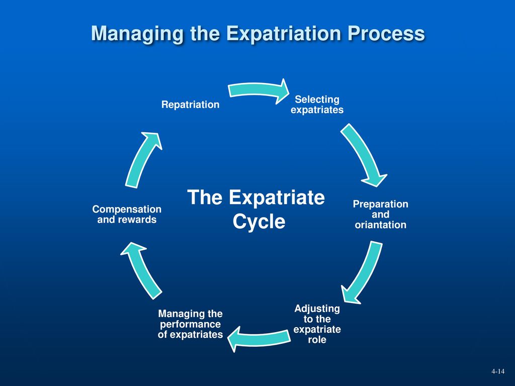 Elements of expatriate compensation essay